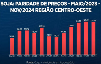 Prêmios negativos da soja desse ano podem se repetir em 2024