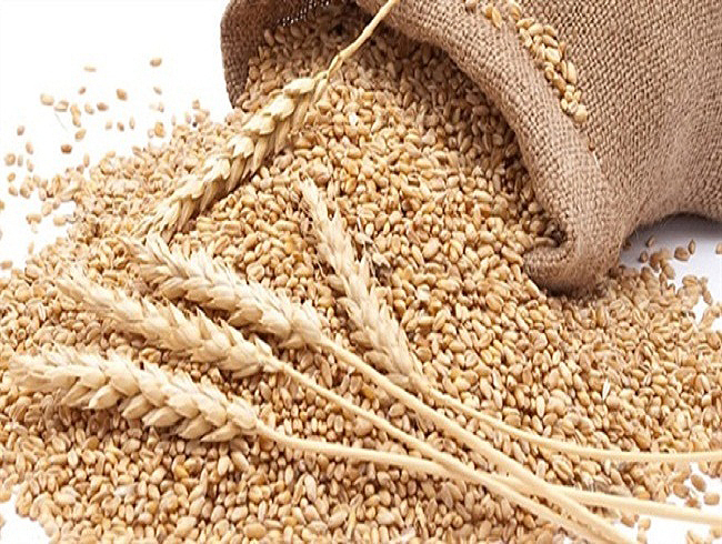 ‘Abastecimento nacional de trigo está garantido’, diz presidente do Sindustrigo