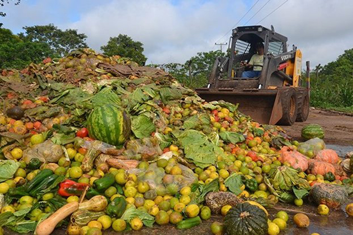 Brasil joga no lixo 41 mil toneladas de alimentos por dia, alerta nutricionista