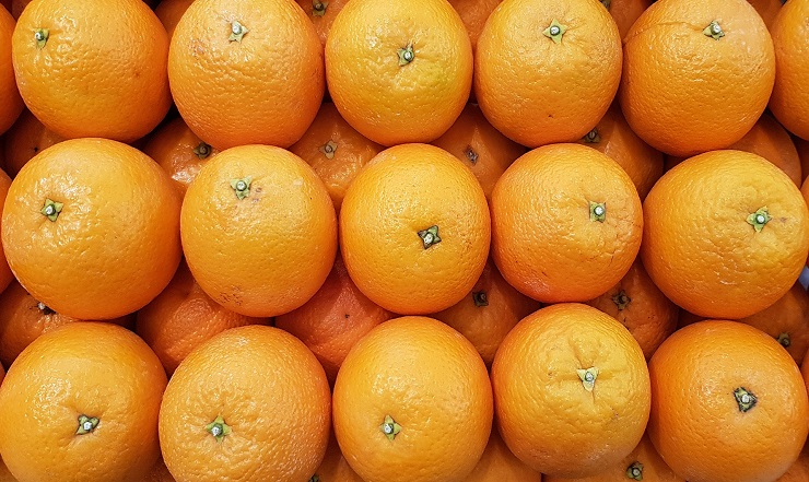 Produtores de laranja comemoram produtividade e exportações
