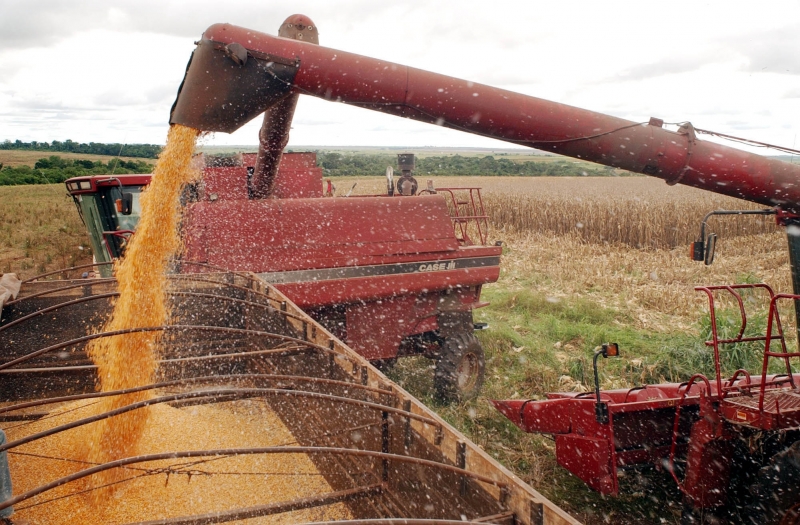 Estudo indica aumento de 3,6% na safra de grãos até 2020