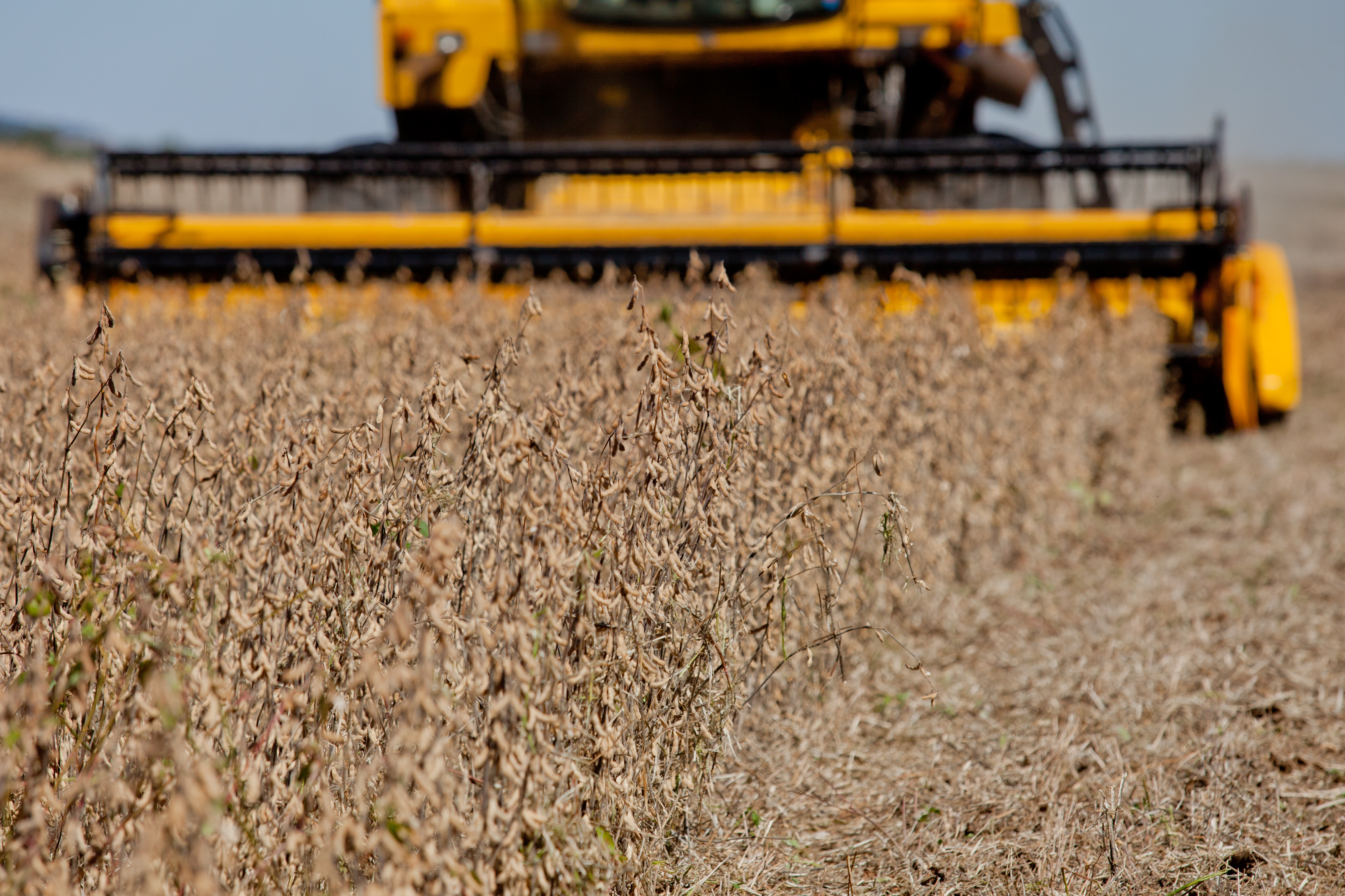 Brasil deve plantar uma área recorde de soja em 2018/19 apesar de custos e incertezas