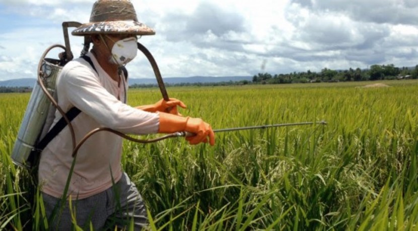 Logística Verde promove reciclagem no setor de defensivos agrícolas