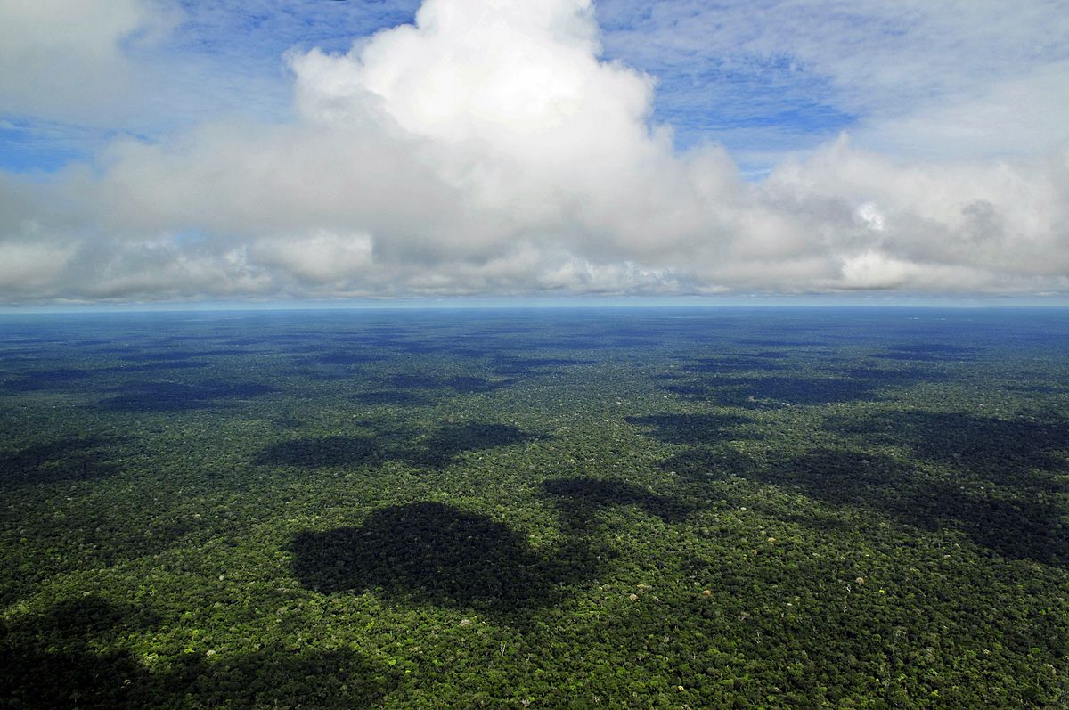 Amazônia e a agricultura