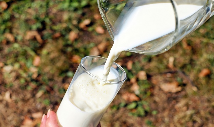 Alimentação: maior problema de pecuária leiteira no Brasil