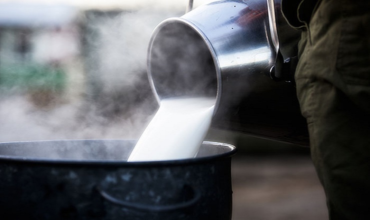 Pecuária leiteira deve respirar mais aliviada em 2019