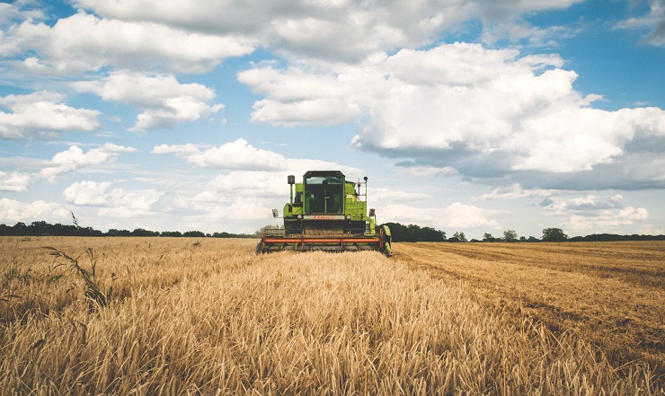 PIB do Agronegócio brasileiro fica estável em 2018