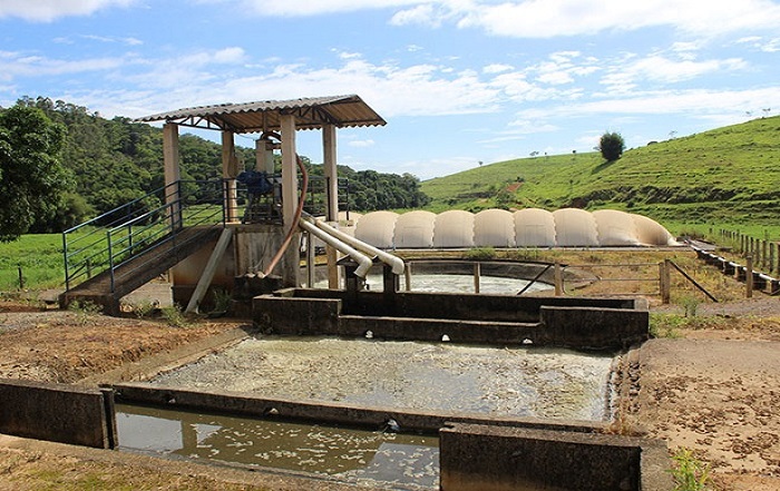 Produção de biogás também é bom negócio para rebanhos leiteiros