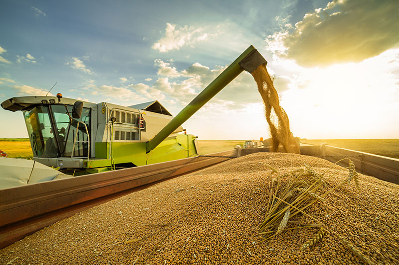 Produtividade cresce e safra de soja no Brasil deve ser recorde com 125 milhões de toneladas