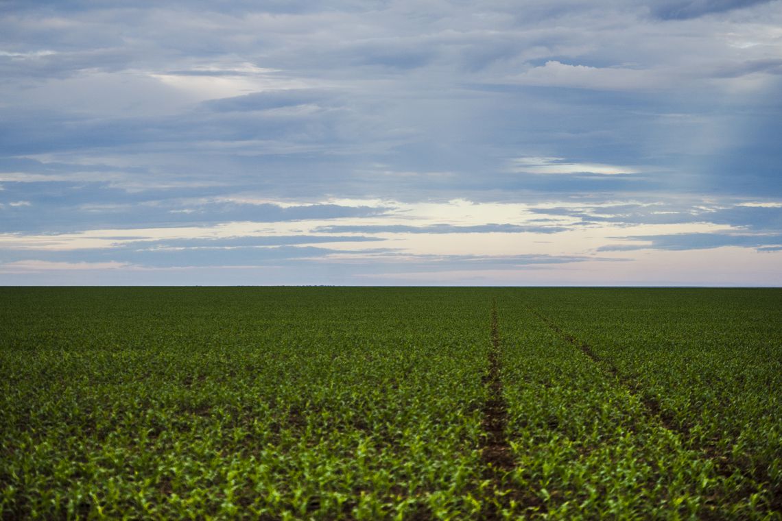 Anvisa aprova novo marco regulatório para agrotóxicos