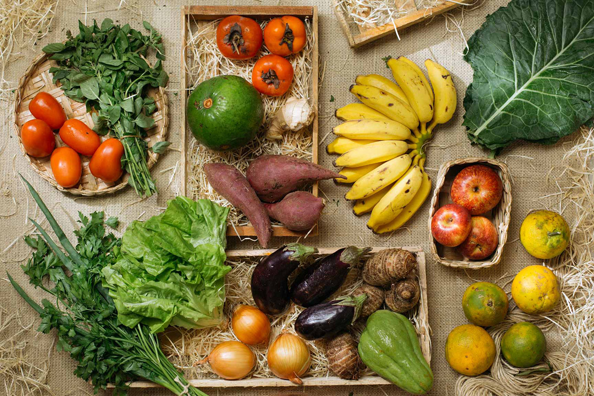 ‘Orgânicos também poderão suprir a demanda global de alimentos’, afirma especialista