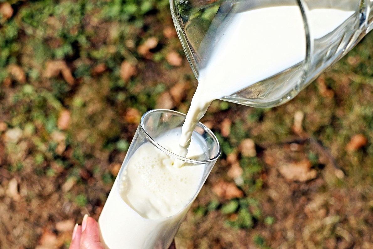 Sistema de inteligência vai rastrear a produção de leite orgânico