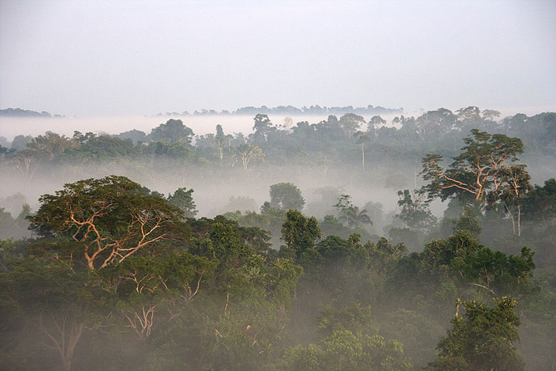 Izabella Teixeira: “Agricultura deve se posicionar em defesa da Amazônia”
