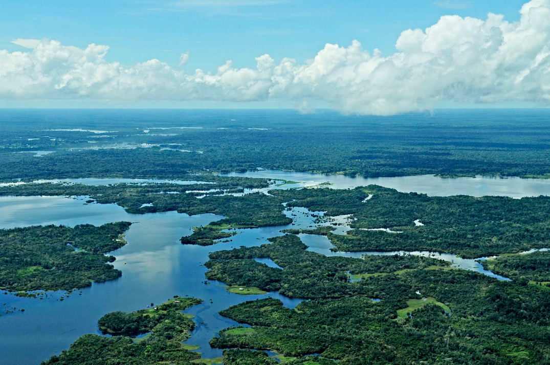 CNA e entidades do Conselho do Agro propõem ao governo uma agenda para a Amazônia