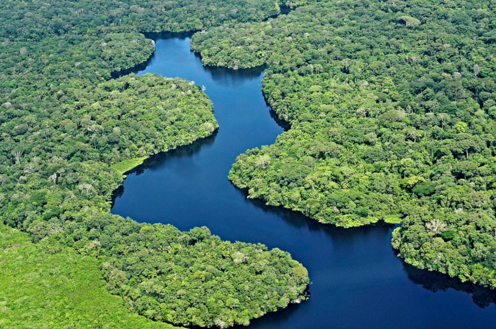 Combate a crimes, sustentabilidade e mercado são prioridades para a Amazônia