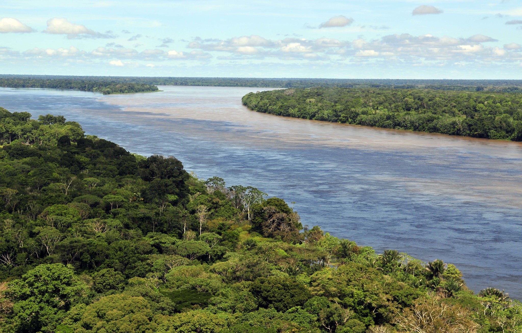 Ricardo Salles: “Iniciativa privada precisa investir na preservação da Amazônia”