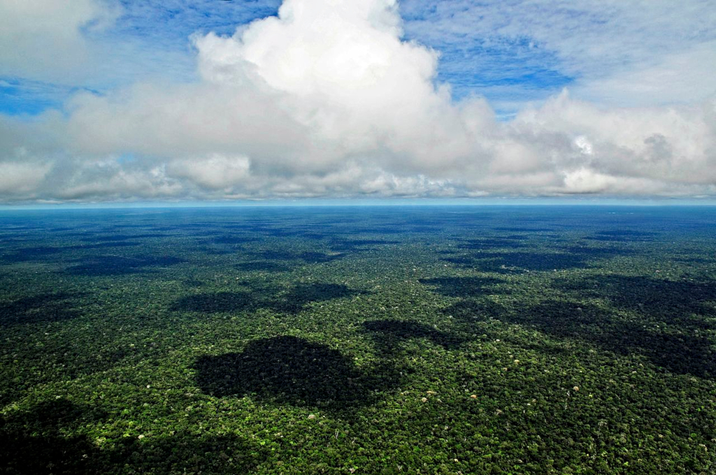 Amazônia precisa de um plano de comunicação e de metas, afirmam especialistas