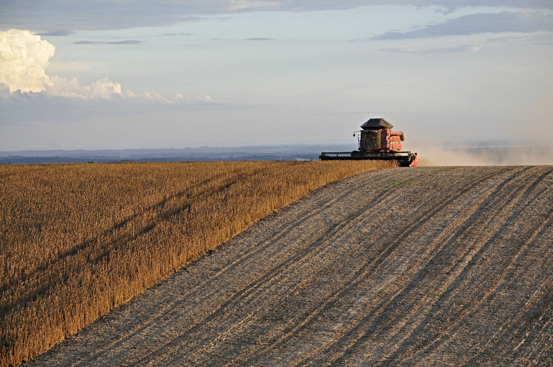 CNA mostra impactos da reforma tributária para culturas como soja e milho