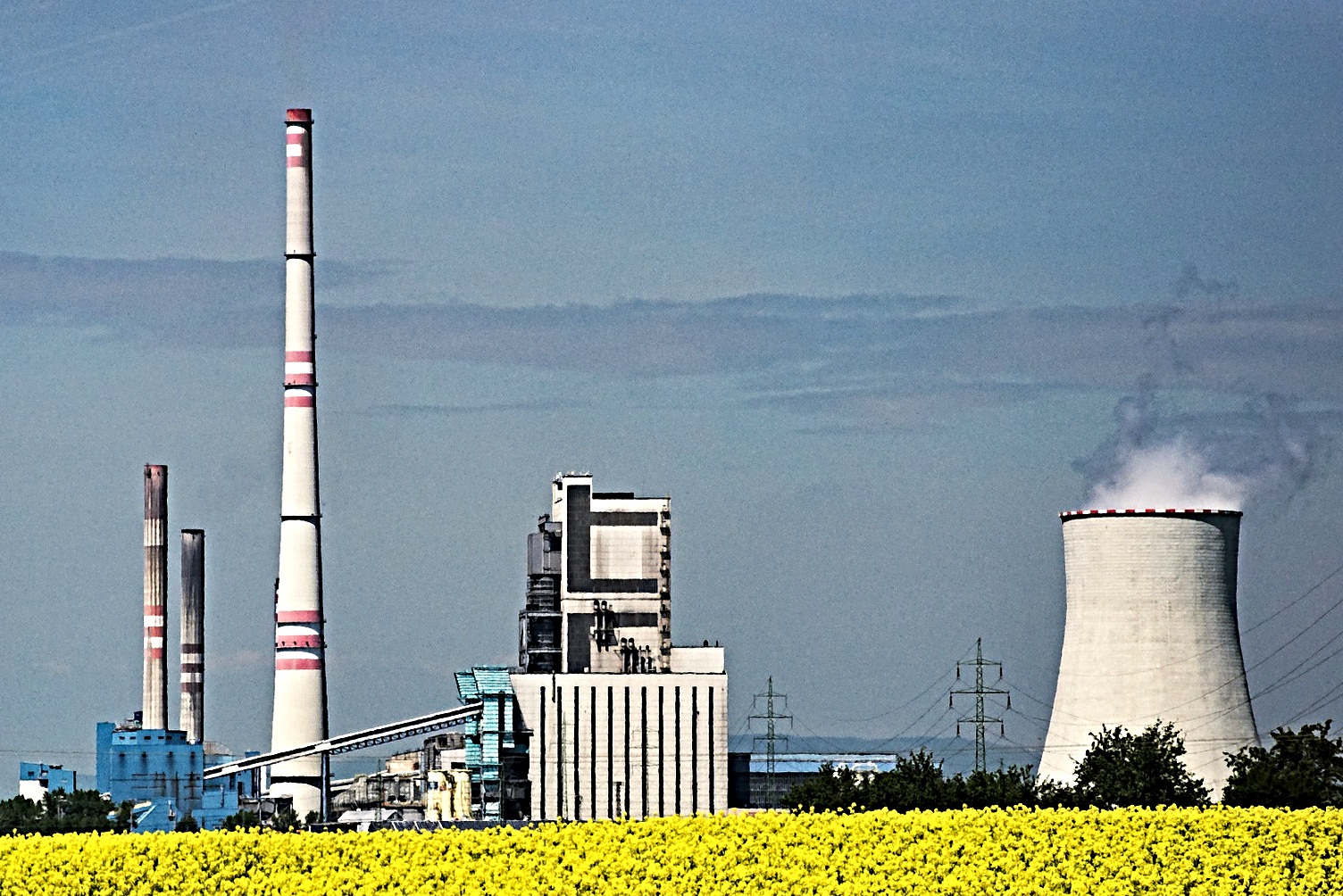 Biocombustíveis e mercado de carbono são desafios para o País, afirmam especialistas