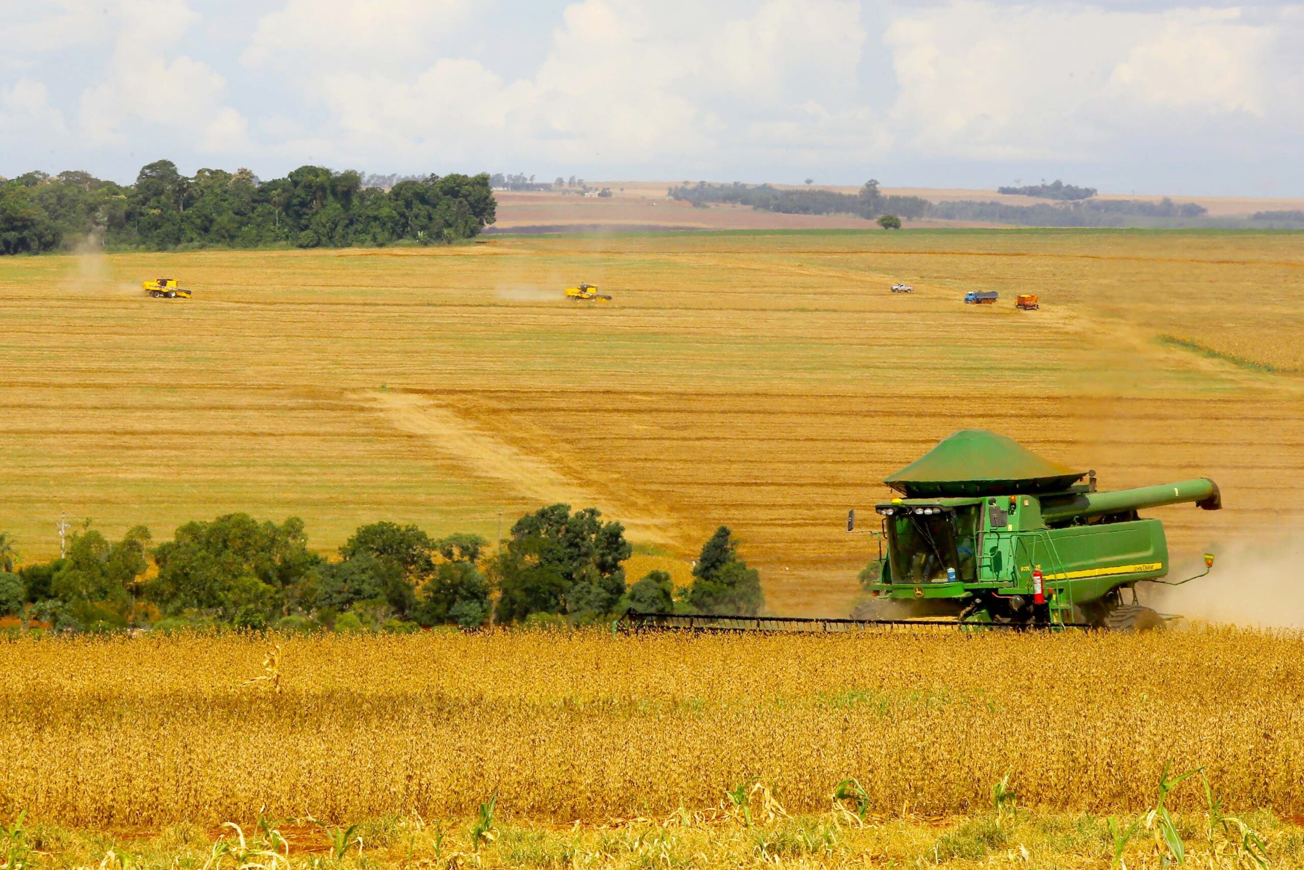 Ministério da Agricultura estima Valor Bruto da Produção Agropecuária (VBP) em R$ 1.1 trilhão
