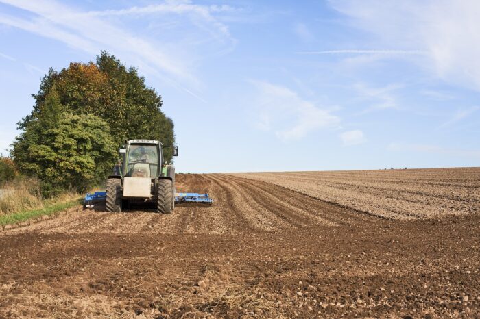 Valor Bruto da Produção agropecuária deve atingir R$ 1.192 trilhão em 2021