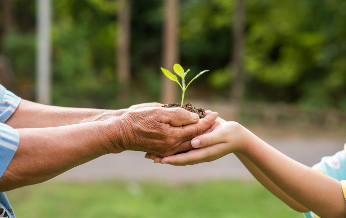 Gestão empresarial com padrões ESG promove diferenciação no mercado