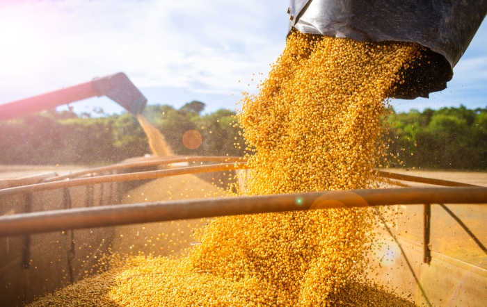 Economistas estimam que o agro deverá liderar o avanço do PIB sem impacto na inflação