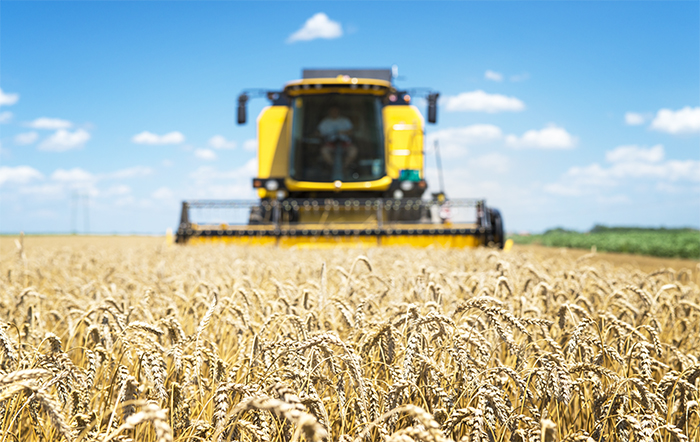 Colheita de grãos no Brasil da safra 2023/24 deve recuar para 319.5 milhões de toneladas