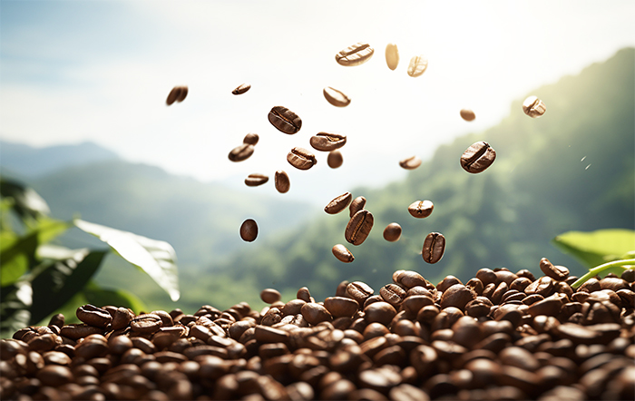 Café: Exportações em setembro aumentam 5,40% em relação a setembro/22, para 3.098 milhões de sacas