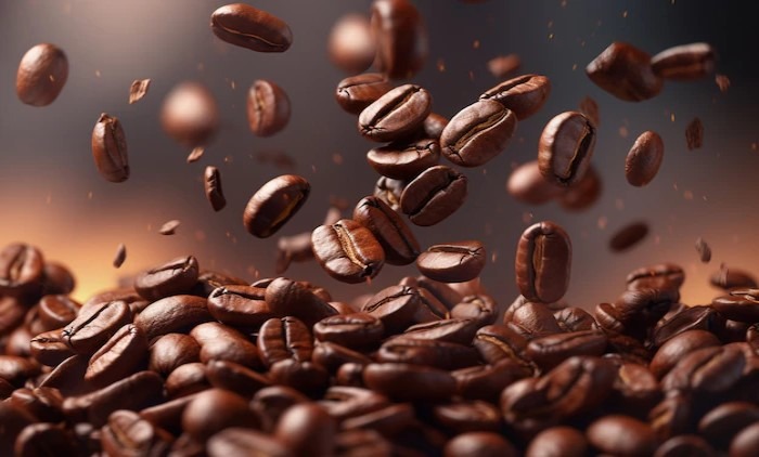 CNC encaminha parceria que irá promover investimento no reflorestamento de áreas cafeeiras