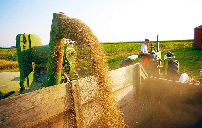 IGC aumenta a estimativa da safra mundial de grãos 2023/24, para 2.307 bilhões de toneladas