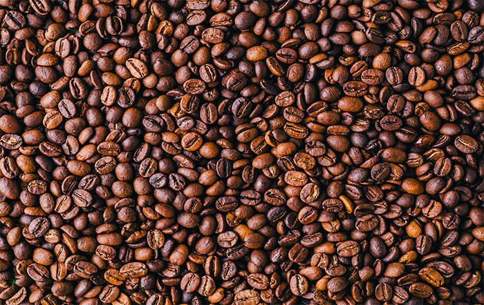 Chuvas favorecem lavouras de café arábica e robusta