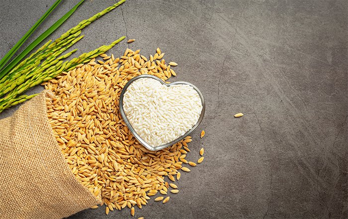 Preços do arroz em casca se sustentam na 1ª quinzena de abril