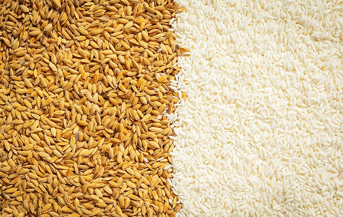 Exportações de arroz totalizam 123.000 toneladas em abril