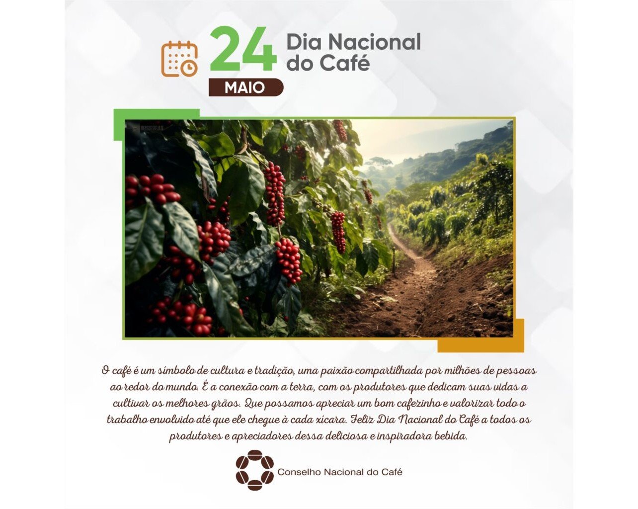 Dia Nacional do Café: uma homenagem aos cafeicultores do Brasil