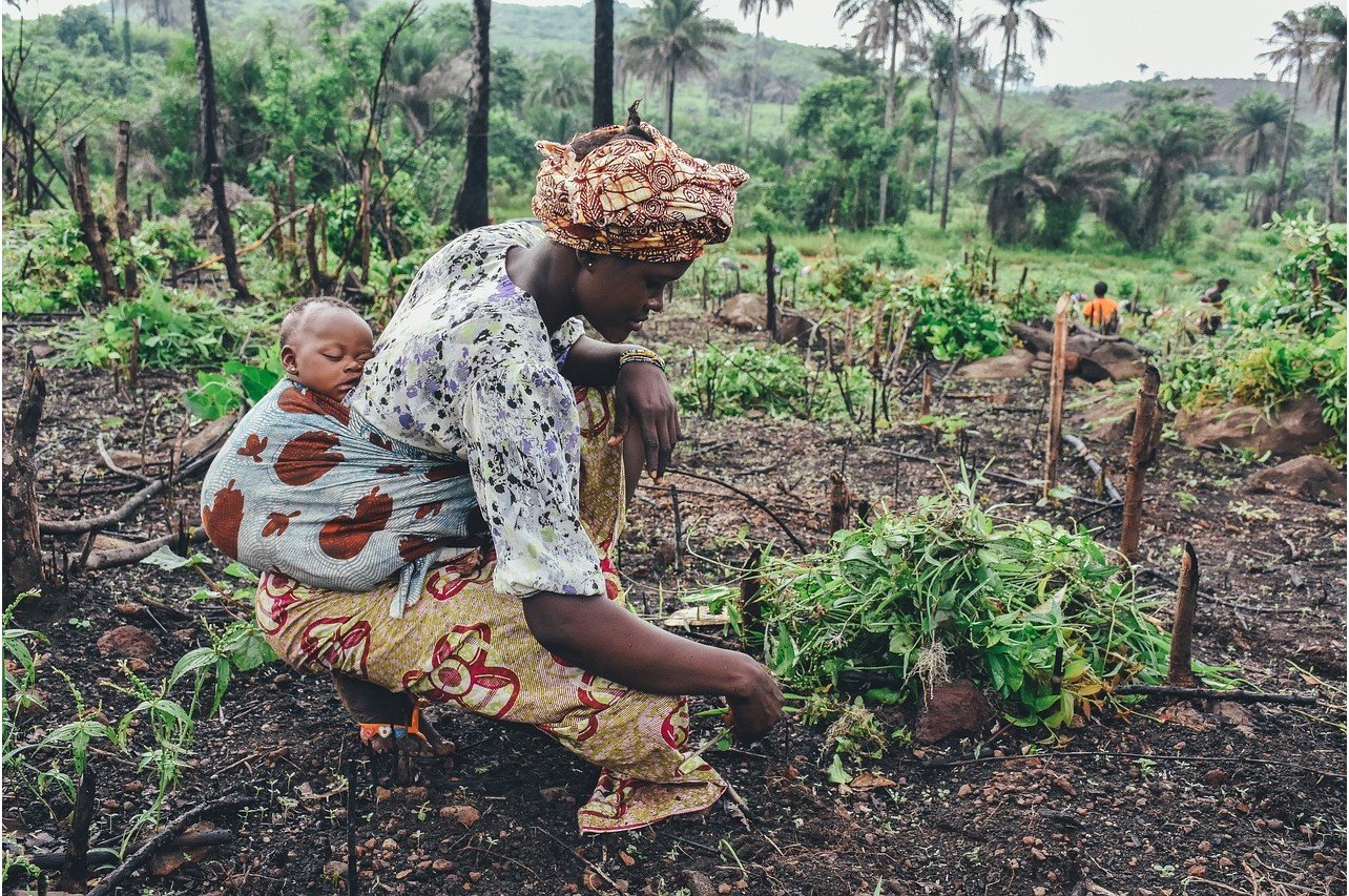 Mulheres na Agricultura: um panorama no Mês das Mães