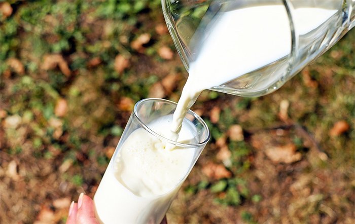 Leite: Preço do leite ao produtor avança pelo 6º mês seguido