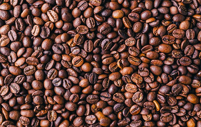 Colheita de café avança, mas com rendimento abaixo do potencial