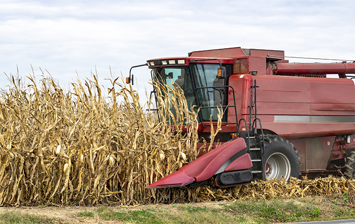 Conab – Nova estimativa para a produção de grãos na safra 2023/2024 é de 297.54 milhões de toneladas