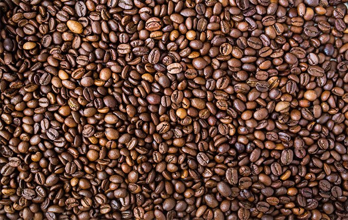Brasil exportou 32,70% mais café na safra 2023/24, totalizando 47.3 milhões de sacas