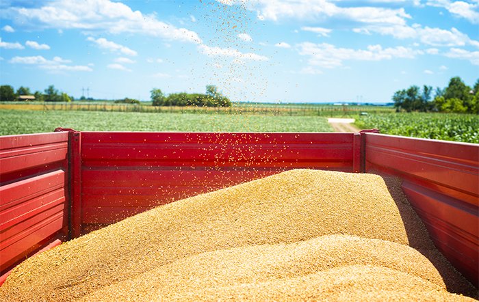 Brasil deve produzir 299.27 milhões de toneladas de grãos na safra 2023/2024