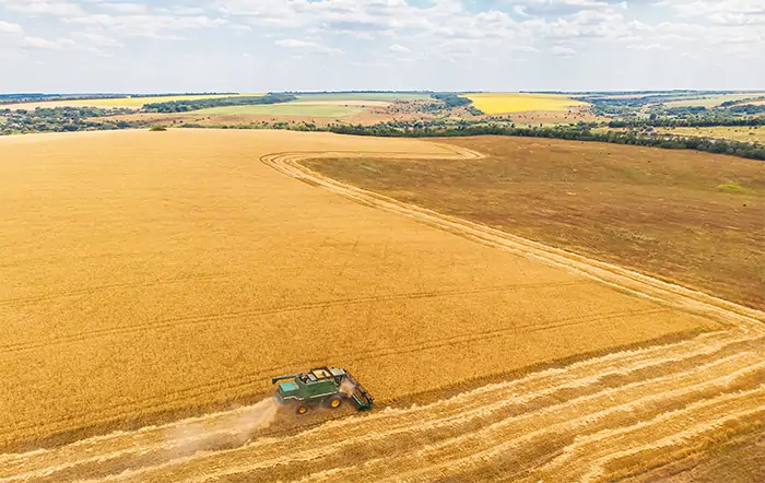 CEPEA: Confira as agromensais de julho/24