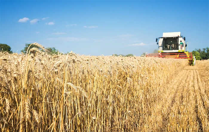 Confira as análises agromensais do CEPEA