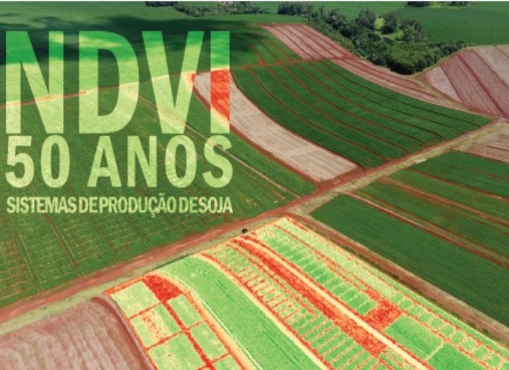 NDVI e soja: desmistificando o índice