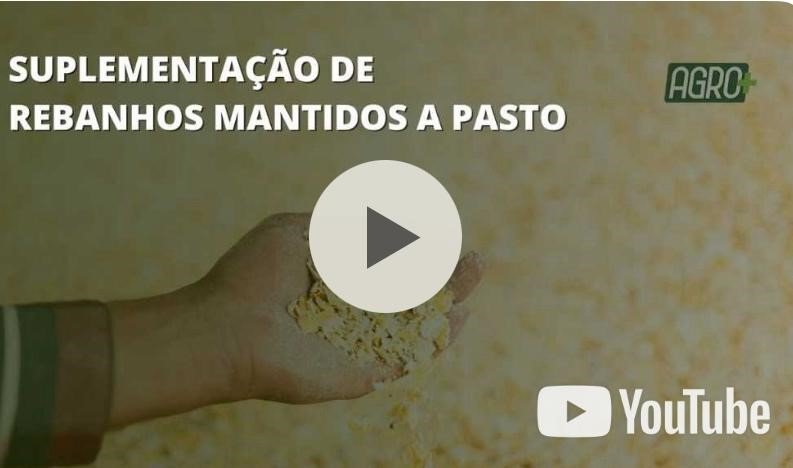 Suplementação de rebanhos. Com Evaristo de Miranda