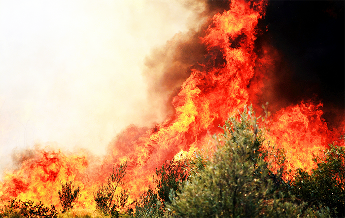 Nota Oficial FPA – Decreto 12.189/2024: embargos e multas aos crimes de incêndio não podem punir inocentes