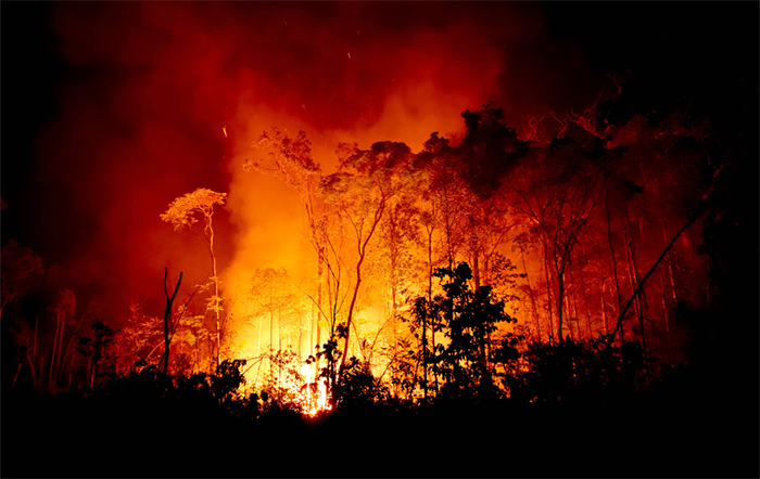 CNA estima prejuízo de R$ 14,7 bilhões com incêndios e emite comunicado técnico aos produtores