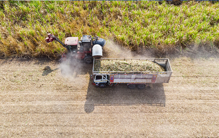 CVM publica norma dos Fundos de Investimento nas Cadeias Produtivas do Agronegócio (FIAGRO)