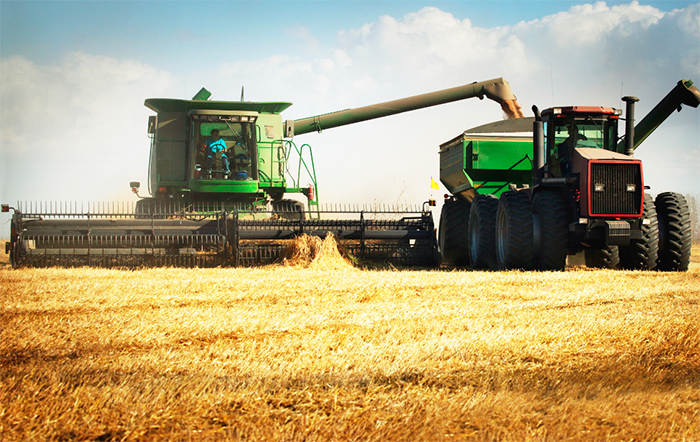 PIB do agro segue em queda no 2º trimestre