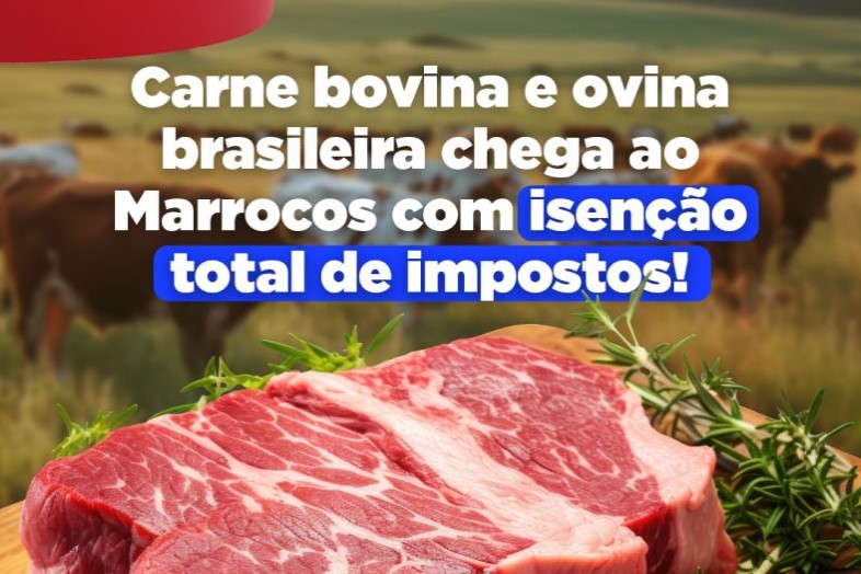 Marrocos concede isenção total de impostos para carne bovina e ovina do Brasil